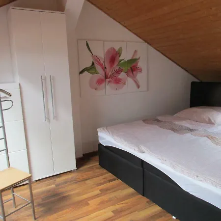 Appartamento Maisonette /fewo Kopp Iii *